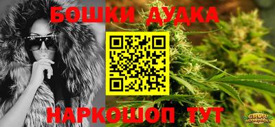 гидропоника Сланцы