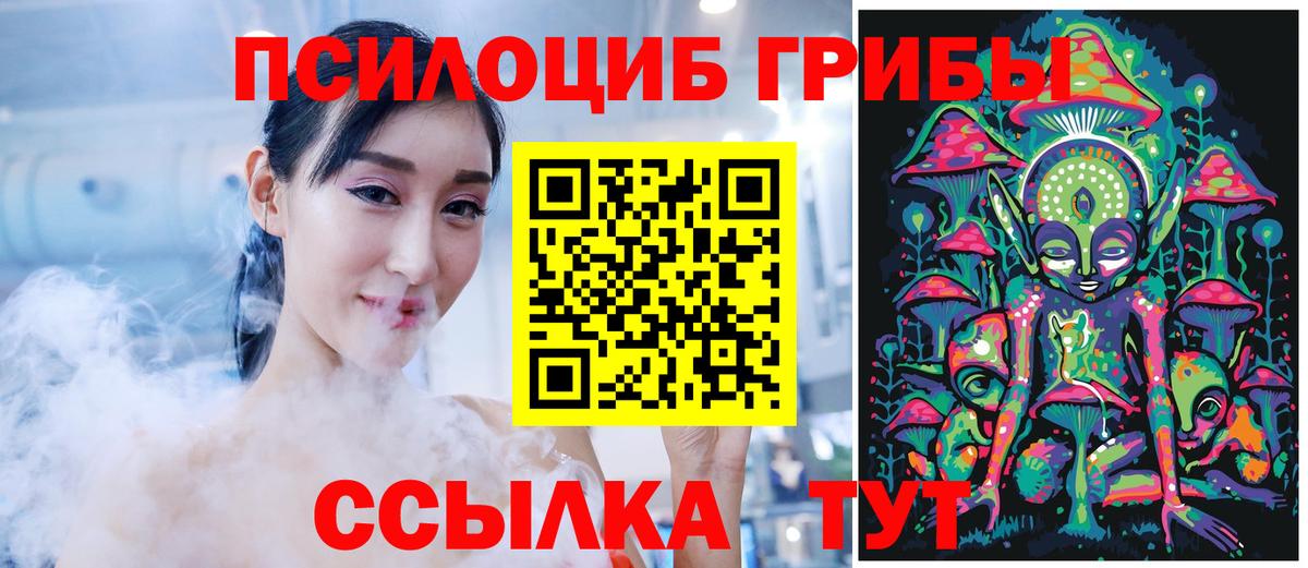 Псилоцибиновые грибы мицелий Саратов