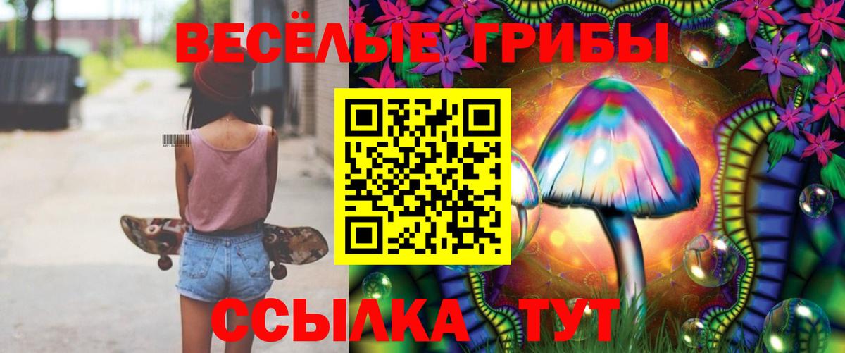 Галлюциногенные грибы Psilocybe  Вход с VPN  Саратов 
